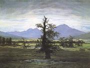 Caspar David Friedrich The Lone Tree oil painting reproduction